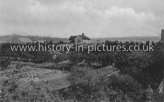 View from Station Bridge, North Fambridge, Essex. c.1910